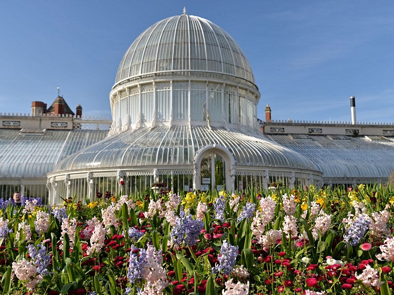 Les effluves exotiques du Botanic Gardens