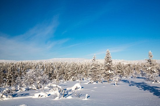 Parc national Urho Kaleva Kekkonen