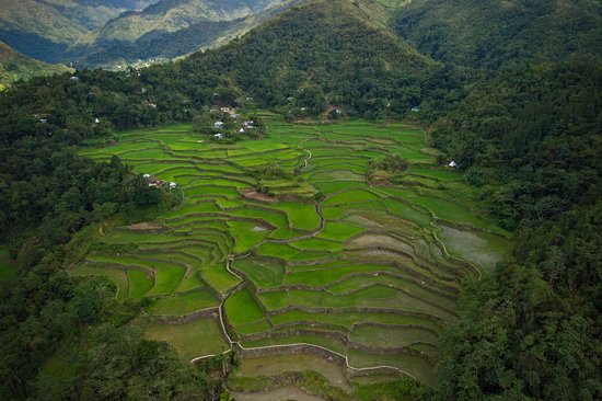 Ifugao