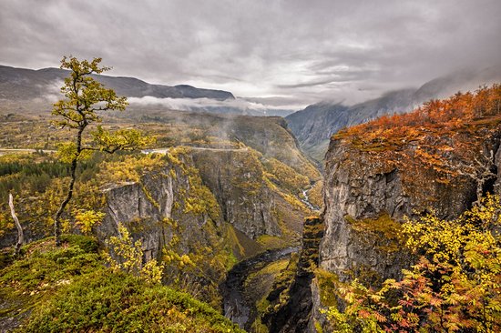 Parc national de Hardangervidda