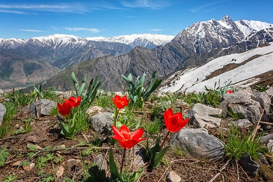 Ugam-Chatkal National Park