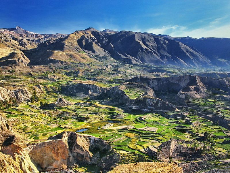 Canyon de Colca