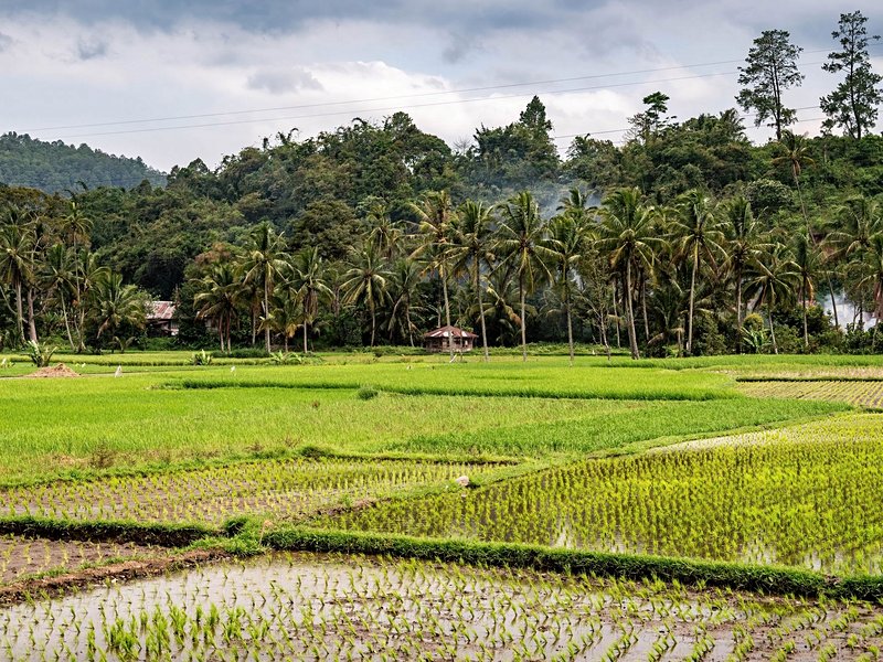 Pays Minangkabau