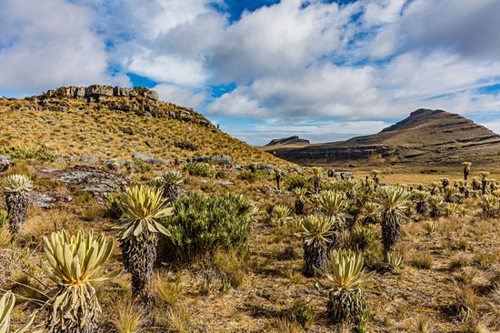 Paramo de Océta