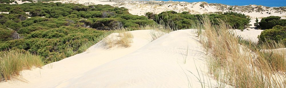 Parc national de Doñana