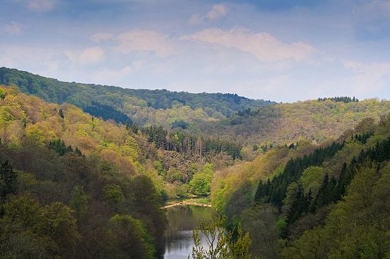 Randonner dans les Ardennes