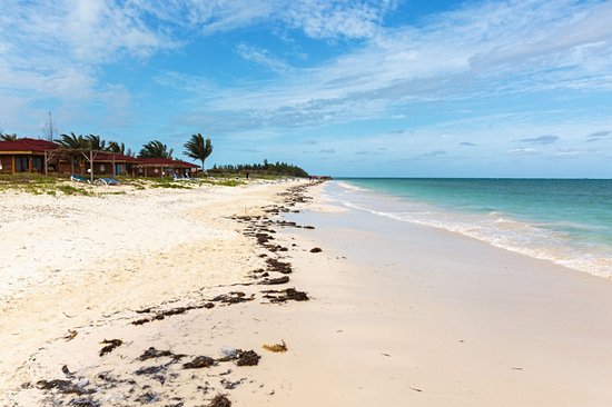 Cayo Levisa