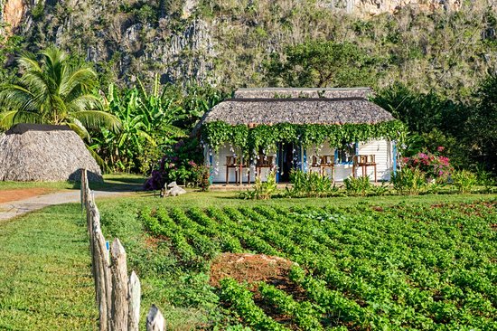 Viñales