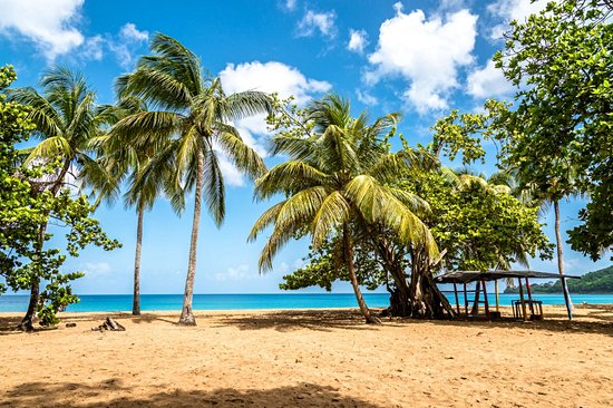 La plage de Grande-Anse