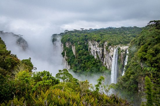 Parc national d'Aparados da Serra