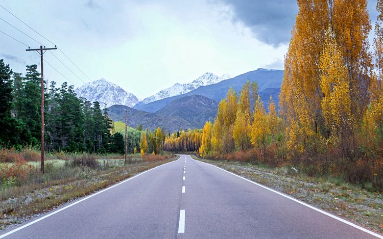 Route des vins à Mendoza - Argentine 3