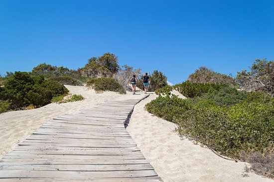 Île de Chrissi