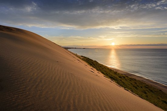 Dunes de Tottori