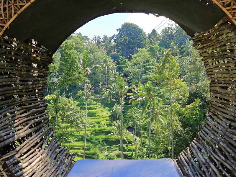 Rizières de Tegallalang