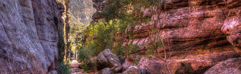 Les Pinnacles (Coromandel)