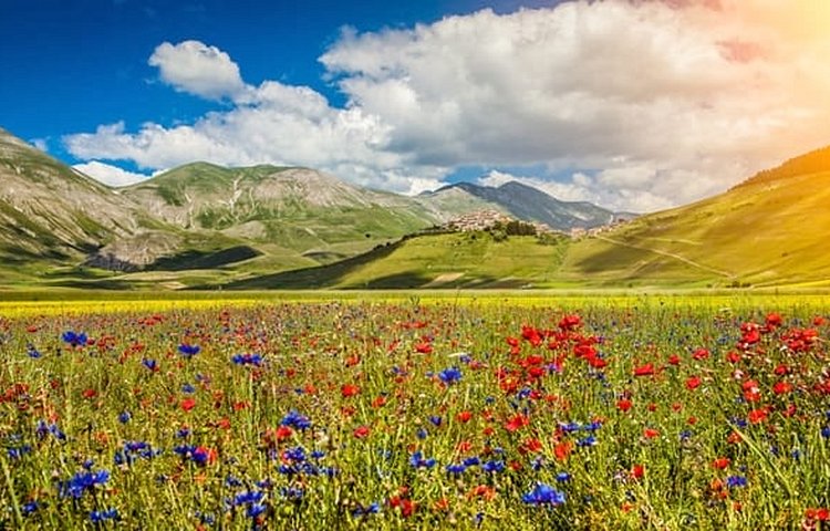 Umbria
