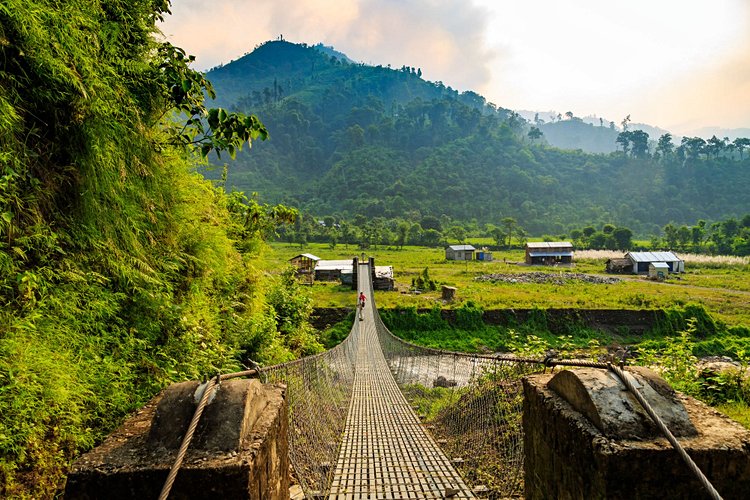 Parc national de Chitwan 