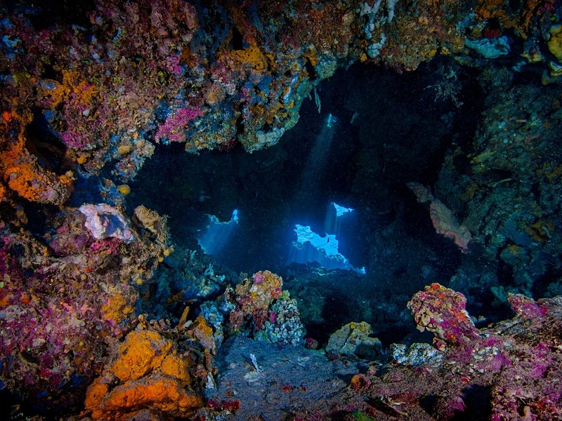 Parc de Pulau Menjangan