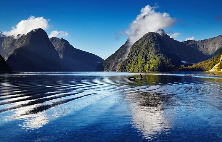 Fjord de Milford Sound