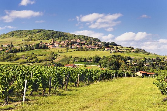 Le Beaujolais