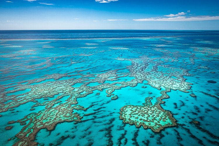 1. Grande Barrière de Corail en Australie 2