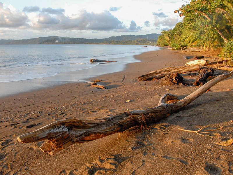 Parc national Corcovado