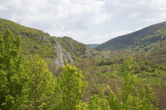 Parc national des gorges de la Nera-Beușnița
