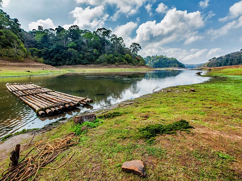 Parc national de Periyar