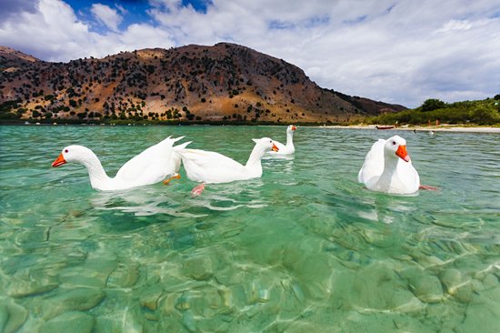Lac de Kournas