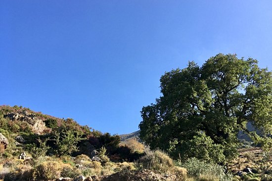 Gorges d'Agia Irini