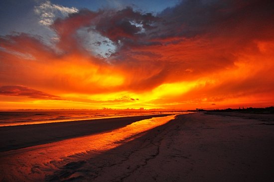 Parc d'État de Honeymoon Island