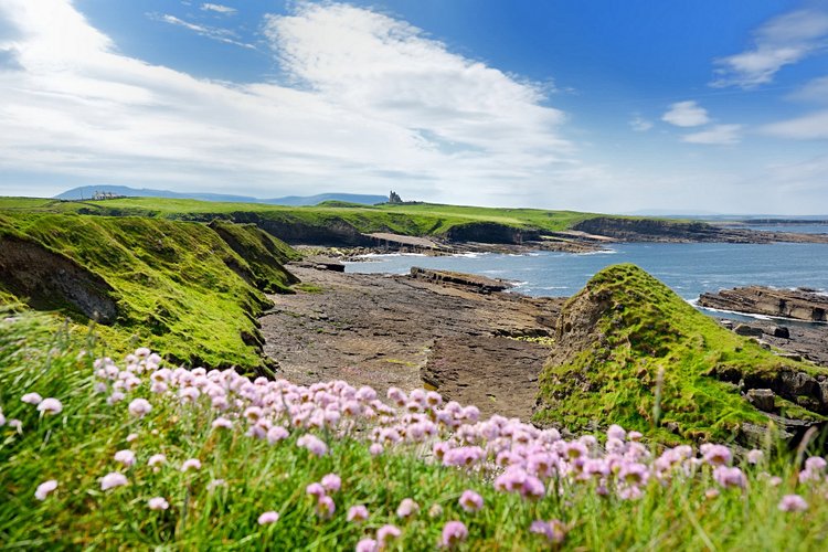 Old Head
