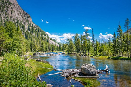 Yellowstone
