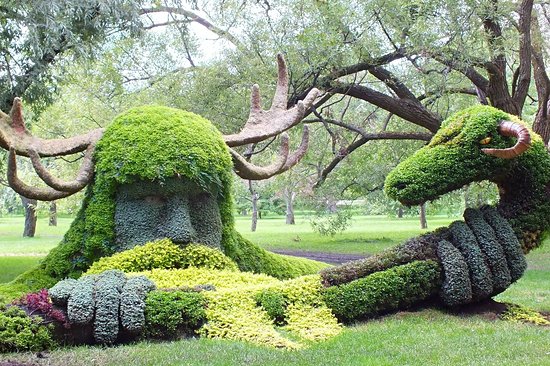 Le Jardin botanique
