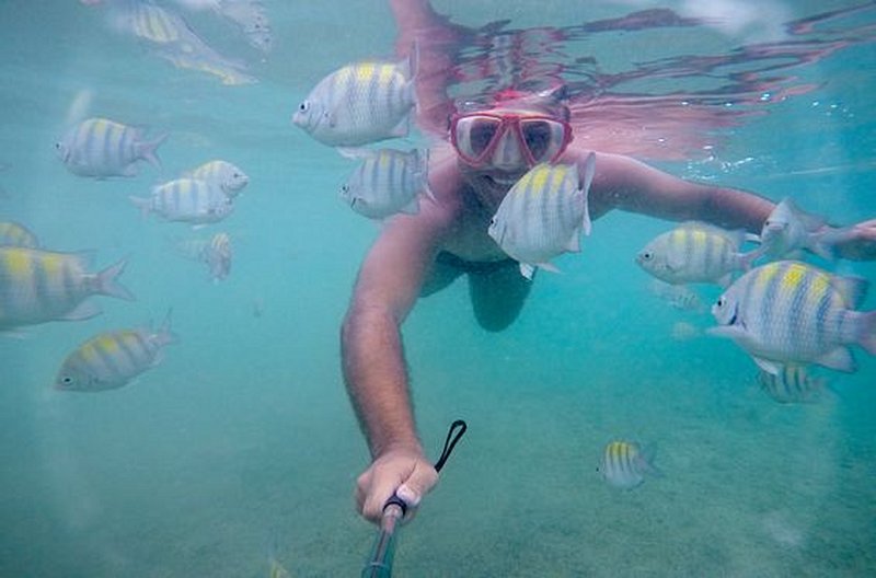 Plonger au milieu des poissons multicolores