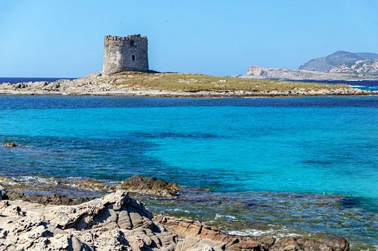 Cap Falcone - Stintino