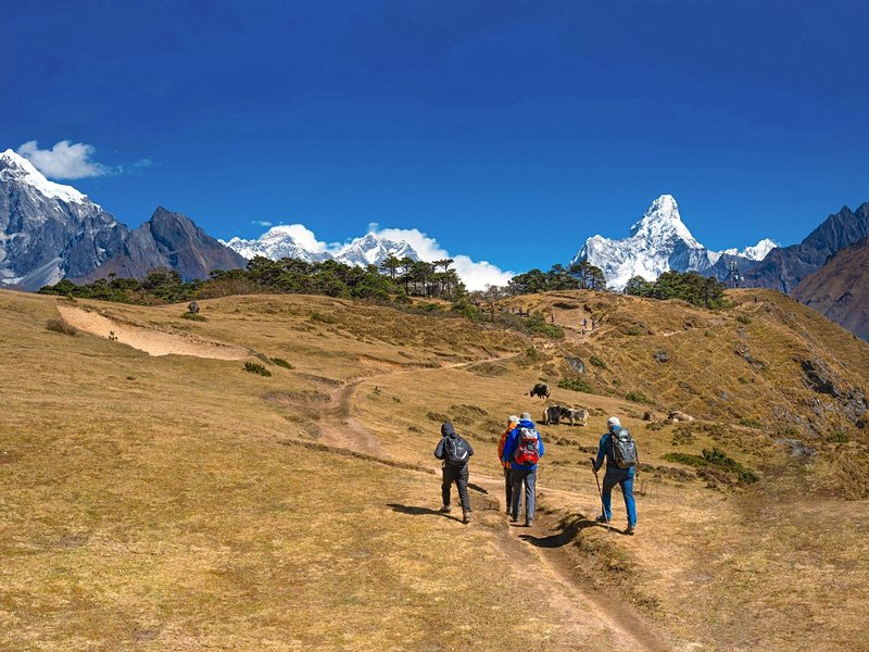 Trek dans la région de l'Everest