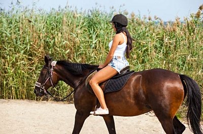 Balade à cheval