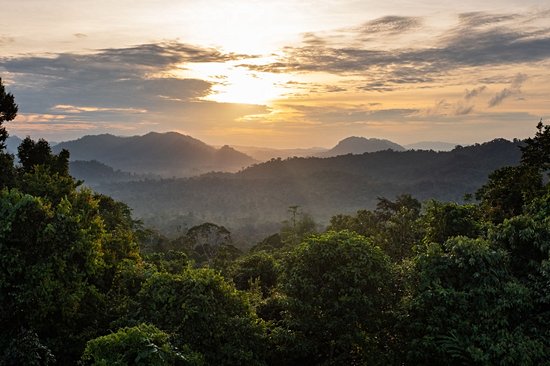 Danum Valley