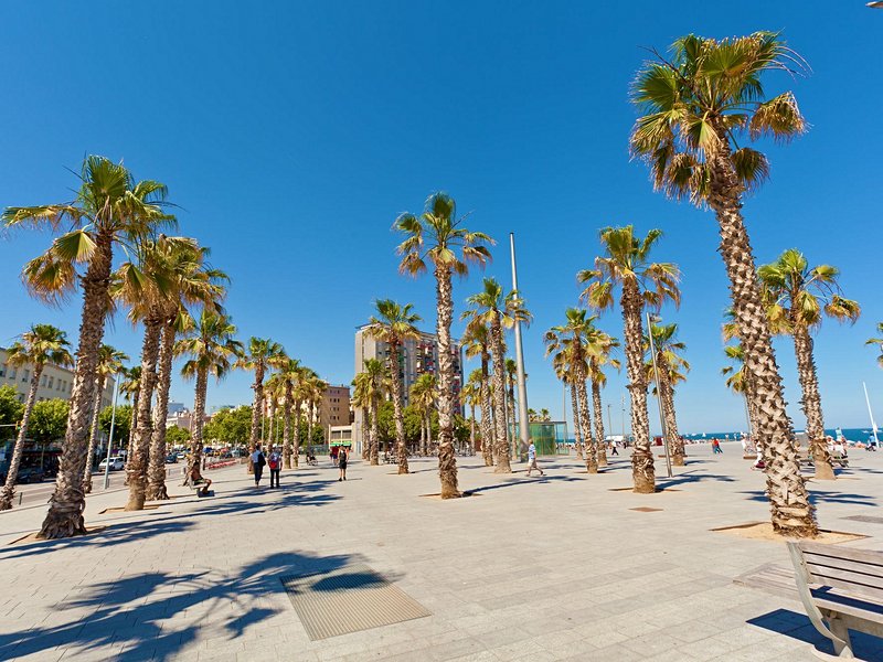 Plage de la Barceloneta