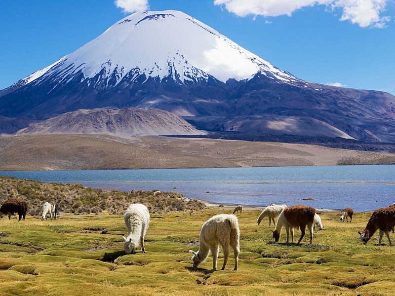 L’Altiplano chilien