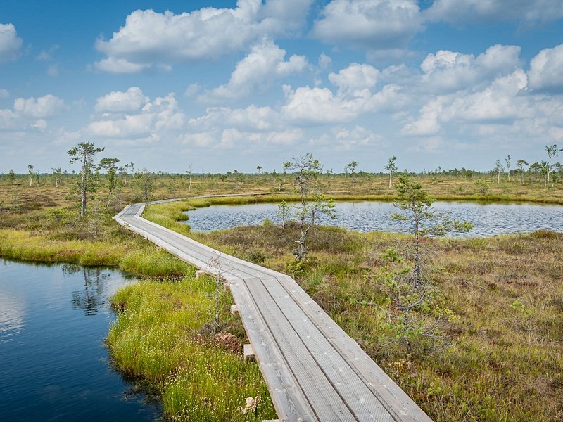 Parc national de Soomaa