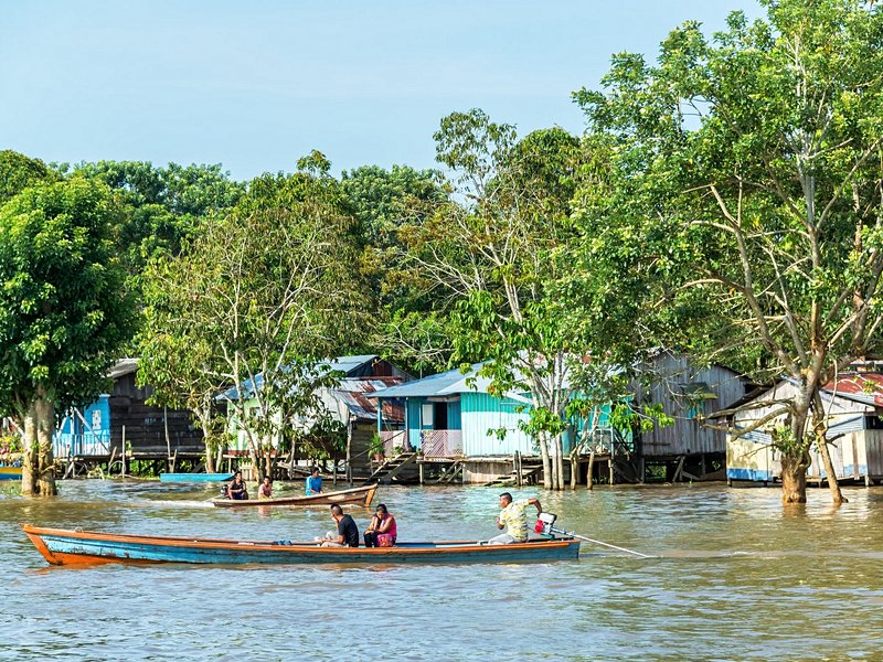 La forêt amazonienne