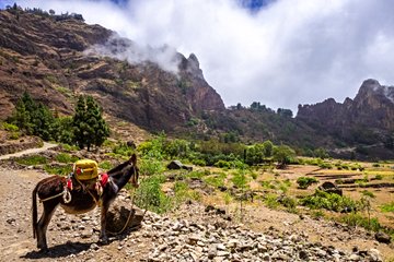 Caldeira do Cova