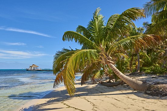 Les plages d’Ambergris Caye