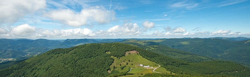 Le parc naturel régional du Ballon des Vosges