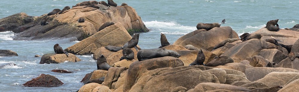 Cabo Polonio