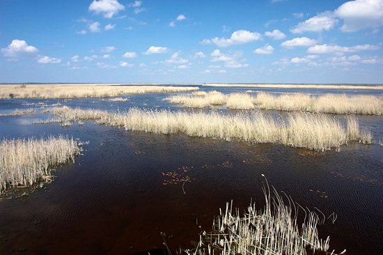 Lac Pape