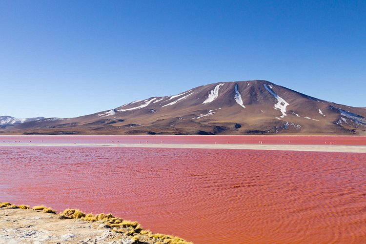 Laguna Colorada – Bolivie 2