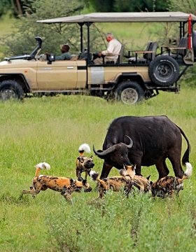 Les plus beaux lieux du Botswana
